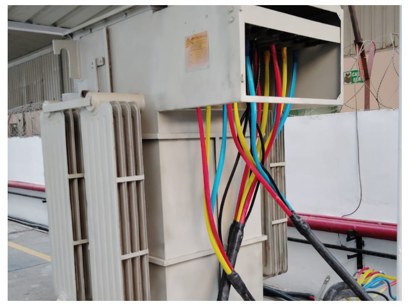 Servo Voltage Stabilizer Services